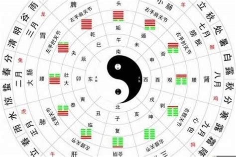 八字神煞重要嗎|八字命理—神煞指的是什么？（基础）